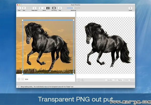 超级抠图专业版 Super PhotoCut Pro v2.8.8 Mac版 For Mac 图像工具 中文版