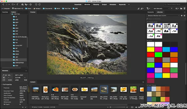 Br v16.0.3idge CC BR图像管理软件 Br Mac版 For Mac 图片处理 网络工具 智能自动化 中文版