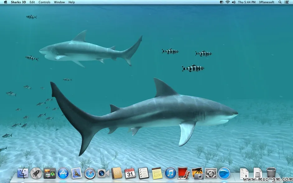 Sharks 3D 3D v2.1.1 屏保 Mac版 For Mac 音频工具 安全工具 英文版
