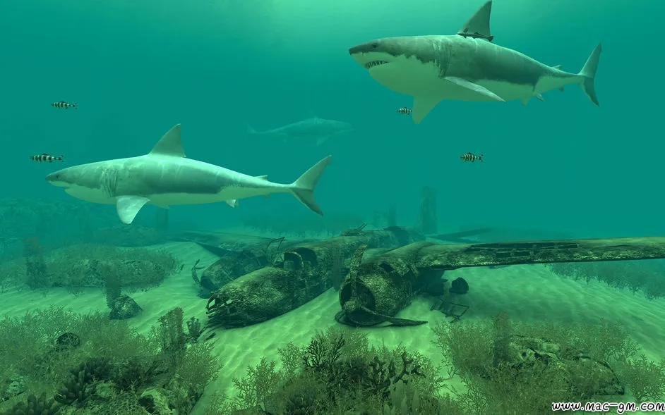 Sharks 3D 3D v2.1.1 屏保 Mac版 For Mac 音频工具 安全工具 英文版