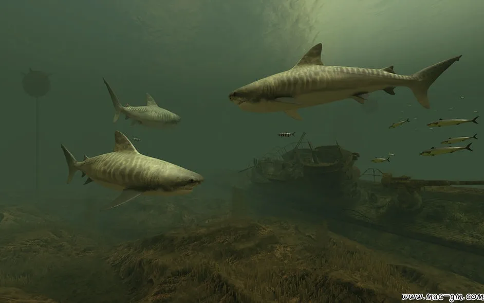 Sharks 3D 3D v2.1.1 屏保 Mac版 For Mac 音频工具 安全工具 英文版