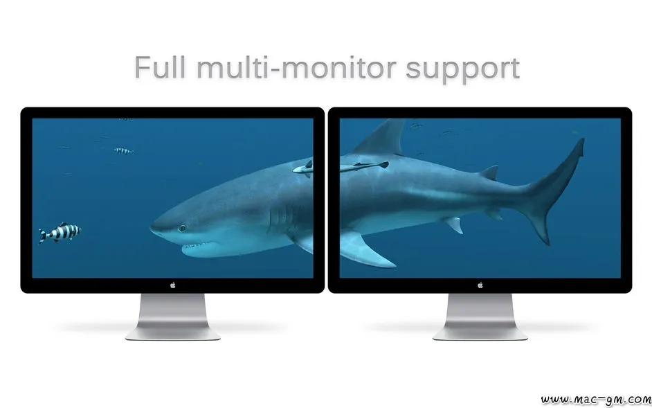 Sharks 3D 3D v2.1.1 屏保 Mac版 For Mac 音频工具 安全工具 英文版
