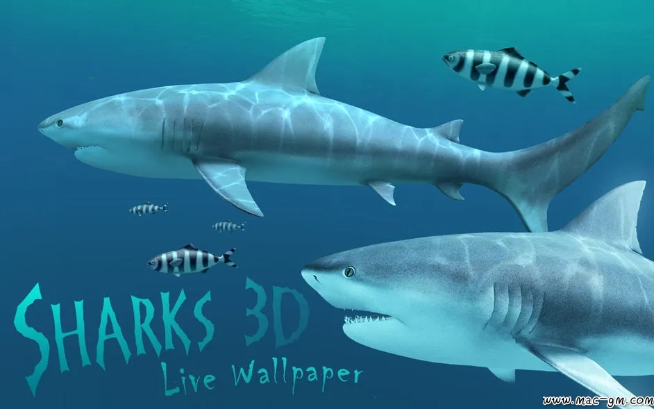 Sharks 3D 3D v2.1.1 屏保 Mac版 For Mac 音频工具 安全工具 英文版