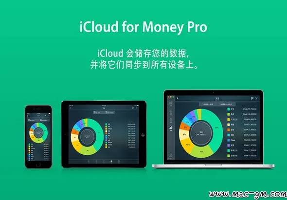Money Pro v2.11.33 同步账单、预算和账户 Mac版 For Mac 备份同步 网络工具 中文版