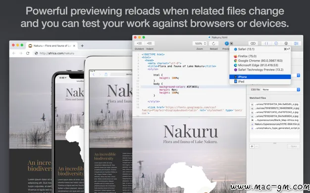 Whisk v2.6.2 网页编辑器 Mac版 For Mac 文本编辑 浏览器工具 英文版
