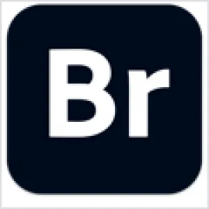 Br v16.0.3idge CC BR图像管理软件 Br Mac版 For Mac 图片处理 网络工具 智能自动化 中文版
