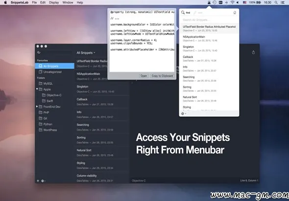 SnippetsLab v2.7 [MAS] 代码片段管理器 Mac版 For Mac 文本编辑 文件管理 智能自动化 中文版