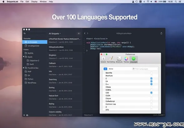 SnippetsLab v2.7 [MAS] 代码片段管理器 Mac版 For Mac 文本编辑 文件管理 智能自动化 中文版