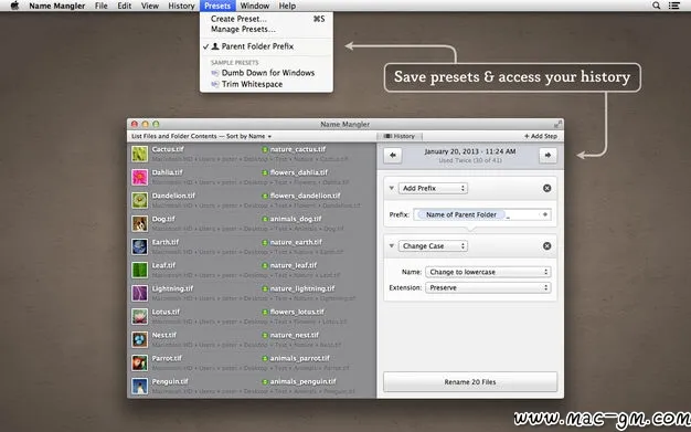 Name Mangler v3.9.2 批量重命名工具 Mac版 For Mac 文件管理 英文版