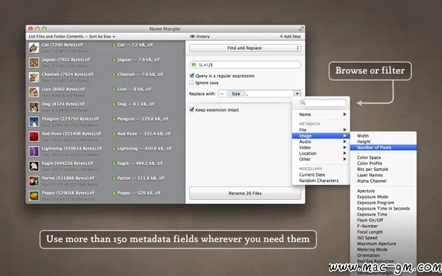 Name Mangler v3.9.2 批量重命名工具 Mac版 For Mac 文件管理 英文版