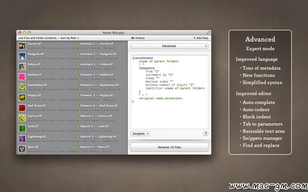 Name Mangler v3.9.2 批量重命名工具 Mac版 For Mac 文件管理 英文版