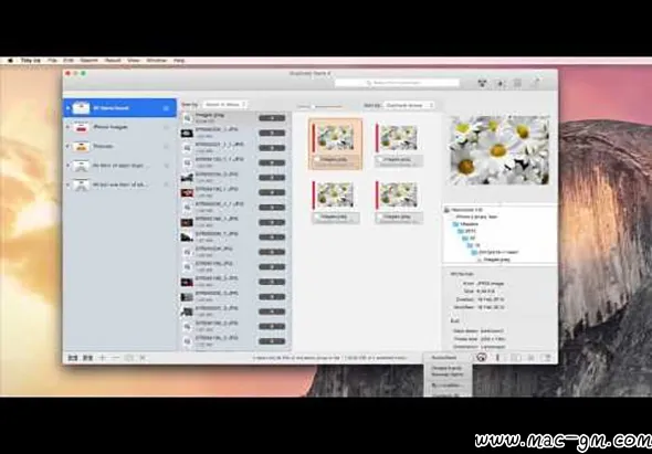 Tidy Up v6.0.10 系统清理软件 Mac版 For Mac 系统优化 音频工具 数据库工具 邮件工具 英文版