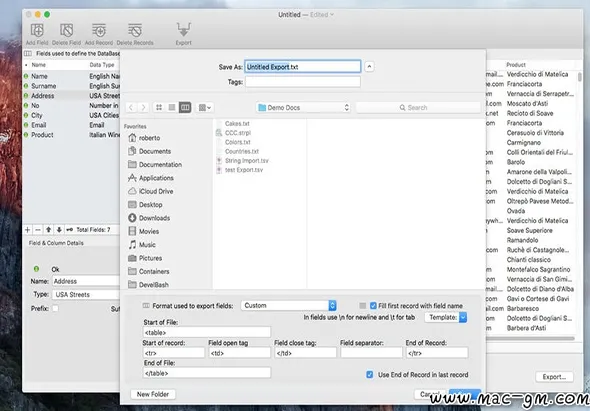 Data Creator v1.9.3 数据生成器 Mac版 For Mac 英文版