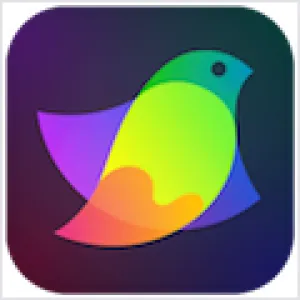 Amadine v1.8.3 矢量绘图软件 Mac版 For Mac 英文版