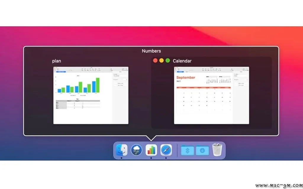DockView v2.2.6 程序坞应用窗口预览 Mac版 For Mac 浏览器工具 视频工具 智能自动化 邮件工具 英文版