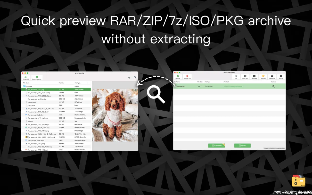 Oka Unarchiver Pro v2.1.17 Unarchiver Pro 解压专家Oka Mac版 For Mac 安全工具 中文版
