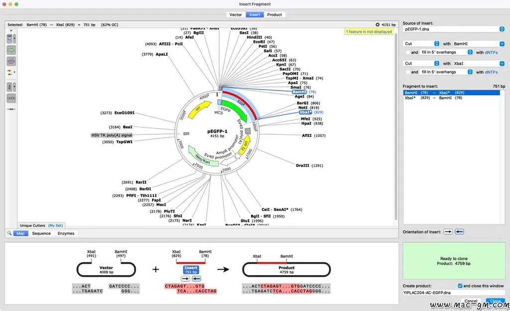 SnapGene v5.3.1 分子生物学软件 DNA序列分析 Mac版 For Mac 智能自动化 中文版