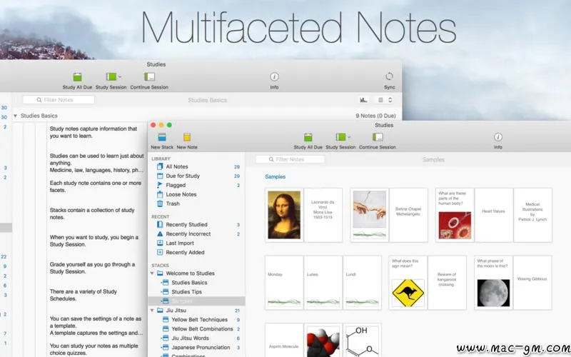 Studies v1.8.11 强化记忆学习软件 Mac版 For Mac 图像工具 浏览器工具 英文版