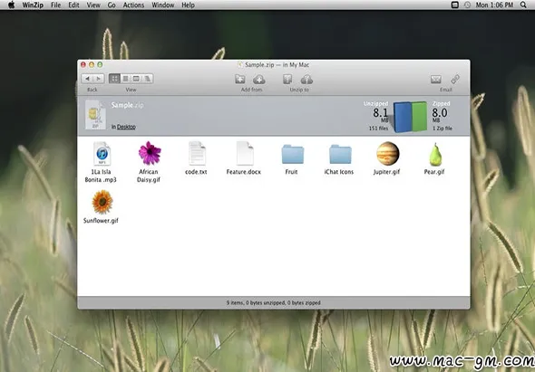 WinZip v12.0.7282 压缩解压软件 Mac版 For Mac 安全工具 英文版