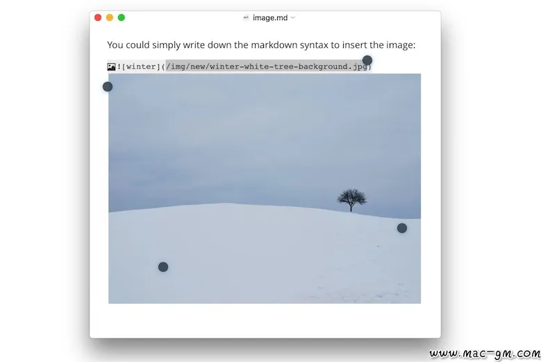 Typora Markdown v1.14.10 文本编辑器 Mac版 For Mac 效率工具 中文版