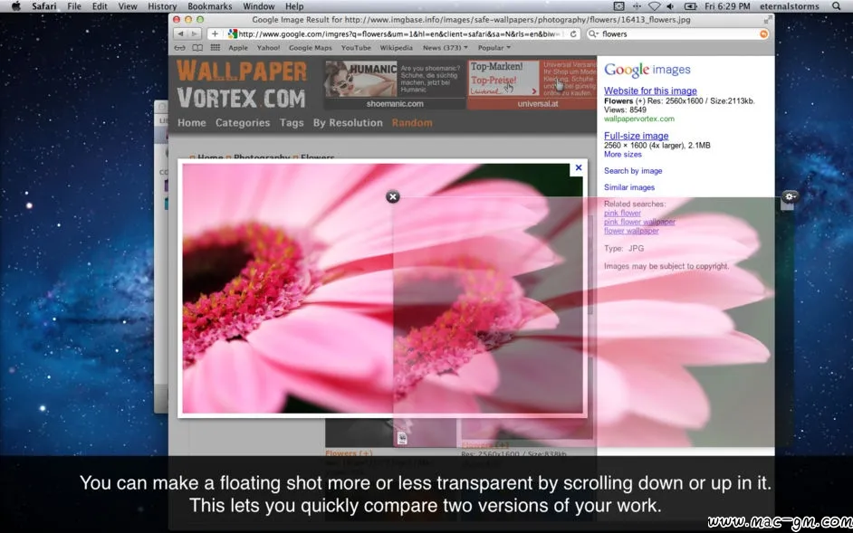 ScreenFloat v1.5.22 截图并以浮动窗口展现 Mac版 For Mac 截图标注 英文版