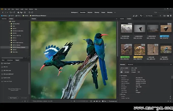 Br v16.0.3idge CC BR图像管理软件 Br Mac版 For Mac 图片处理 网络工具 智能自动化 中文版