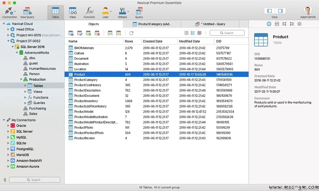 Navicat Premium Essentials v16.1.10 数据库管理软件精简版 Mac版 For Mac 数据库工具 文本编辑 中文版