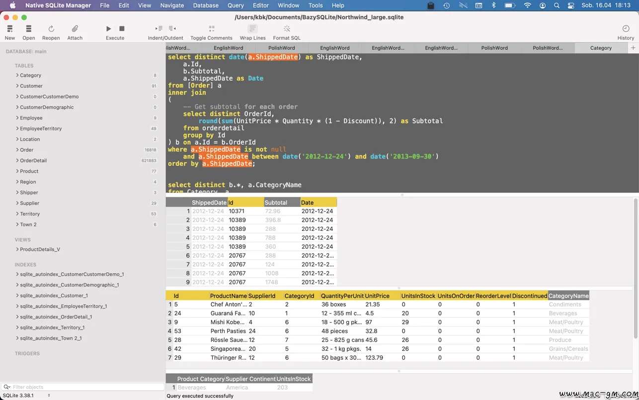 Native SQLite Manager v1.34.0 原生SQLite数据库管理器 Mac版 For Mac 数据库工具 浏览器工具 英文版