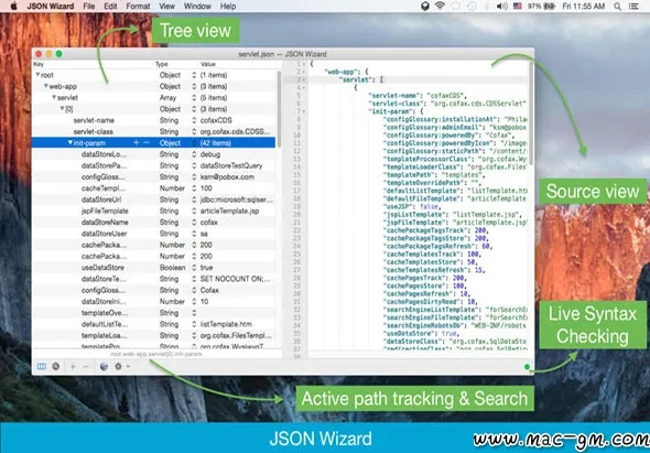 JSON Wizard v2.6.2 数据管理应用程序 Mac版 For Mac 文本编辑 英文版