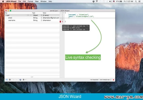 JSON Wizard v2.6.2 数据管理应用程序 Mac版 For Mac 文本编辑 英文版