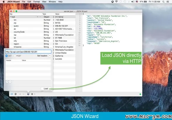 JSON Wizard v2.6.2 数据管理应用程序 Mac版 For Mac 文本编辑 英文版