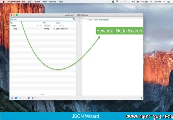JSON Wizard v2.6.2 数据管理应用程序 Mac版 For Mac 文本编辑 英文版
