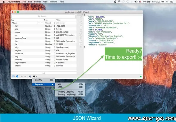 JSON Wizard v2.6.2 数据管理应用程序 Mac版 For Mac 文本编辑 英文版