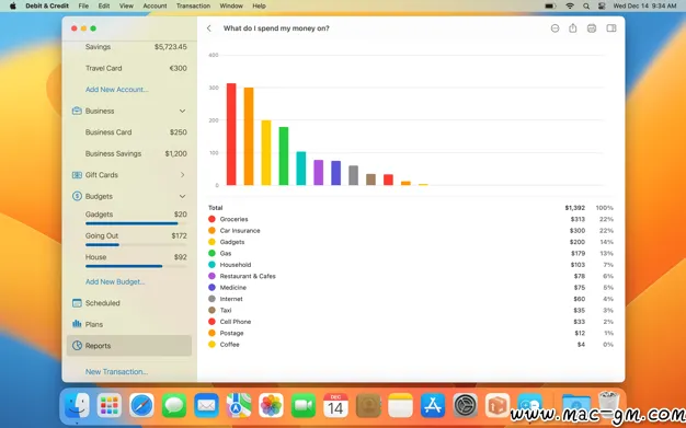 Debit & Credit Premium v7.9.0 个人理财应用 Mac版 For Mac 中文版