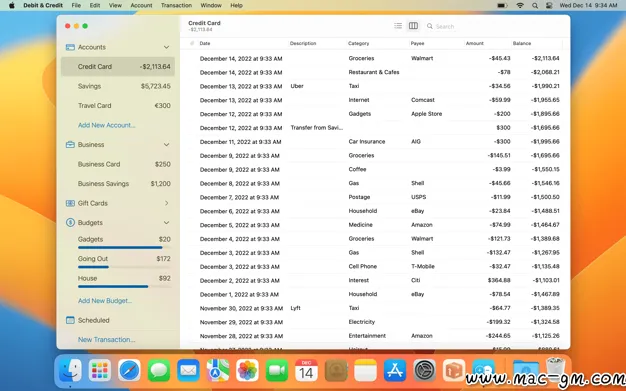 Debit & Credit Premium v7.9.0 个人理财应用 Mac版 For Mac 中文版