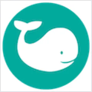 NAMO DNS v2.0.1 服务器工具 Mac版 For Mac 网络工具 英文版