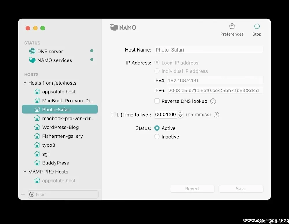 NAMO DNS v2.0.1 服务器工具 Mac版 For Mac 网络工具 英文版