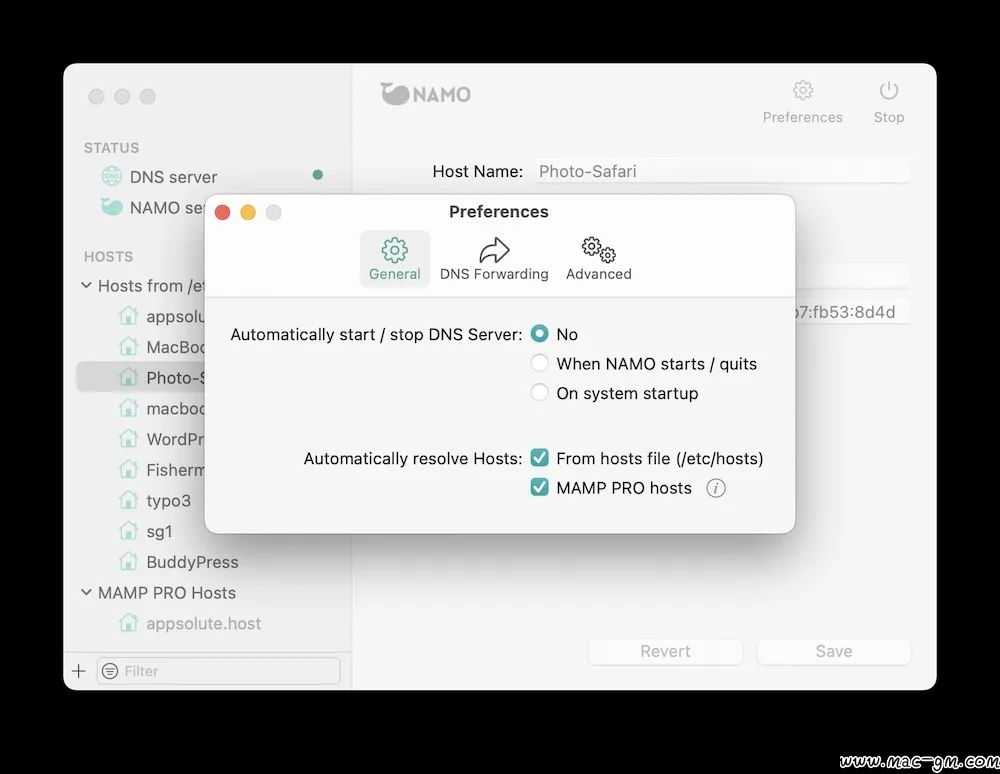 NAMO DNS v2.0.1 服务器工具 Mac版 For Mac 网络工具 英文版