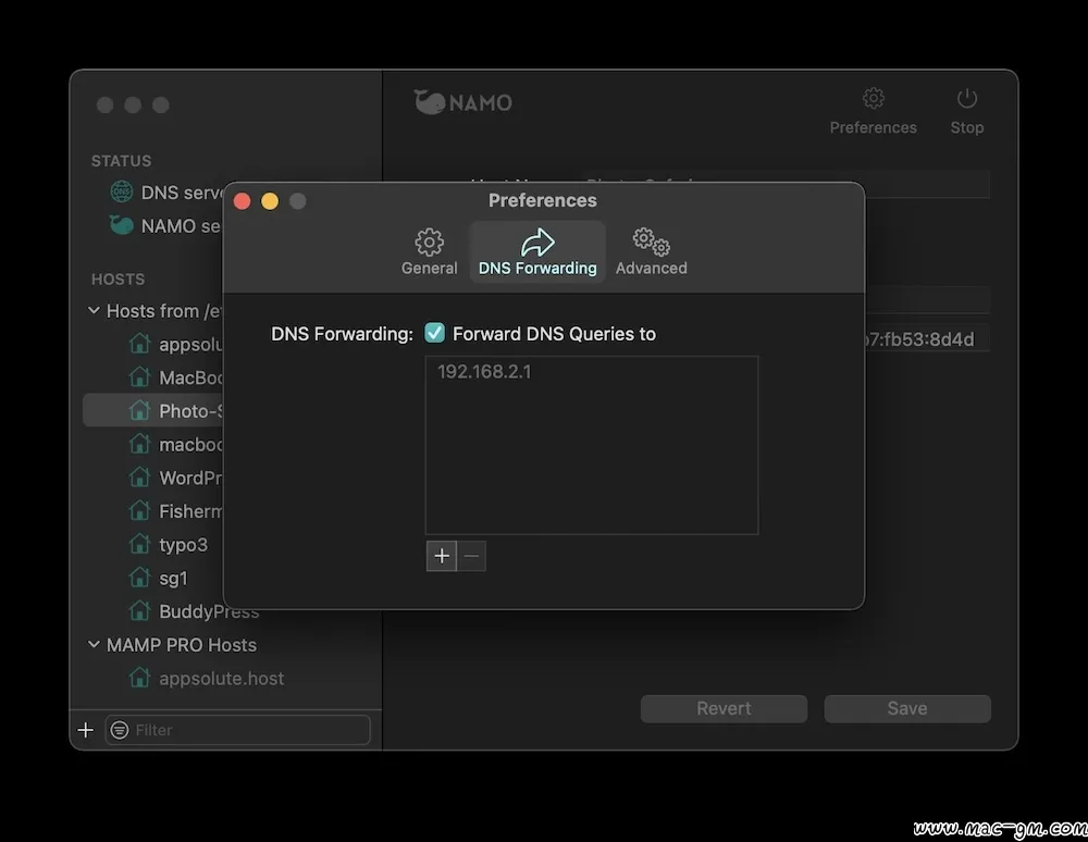NAMO DNS v2.0.1 服务器工具 Mac版 For Mac 网络工具 英文版
