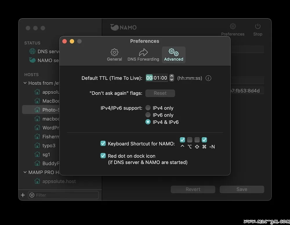 NAMO DNS v2.0.1 服务器工具 Mac版 For Mac 网络工具 英文版