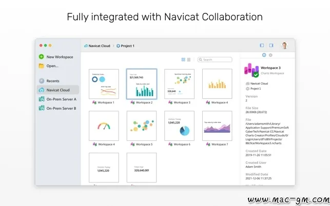Navicat Charts Viewer Navicat v1.2.17 图表查看器 Mac版 For Mac 中文版