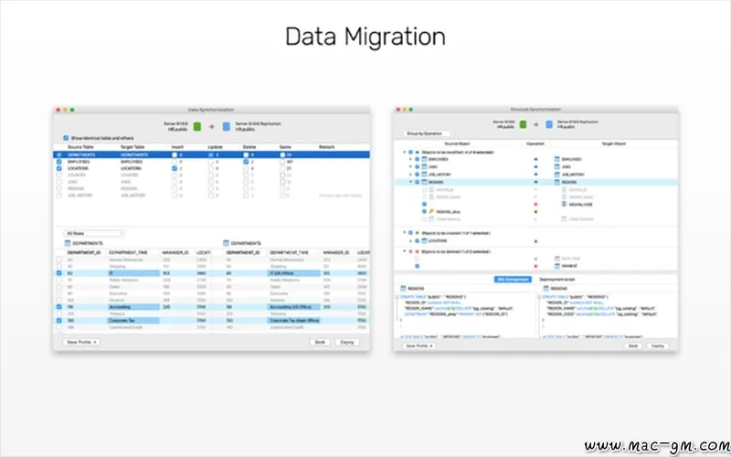 Navicat for PostgreSQL PostgreSQL v17.0.15 数据库管理工具 Mac版 For Mac 数据库工具 中文版