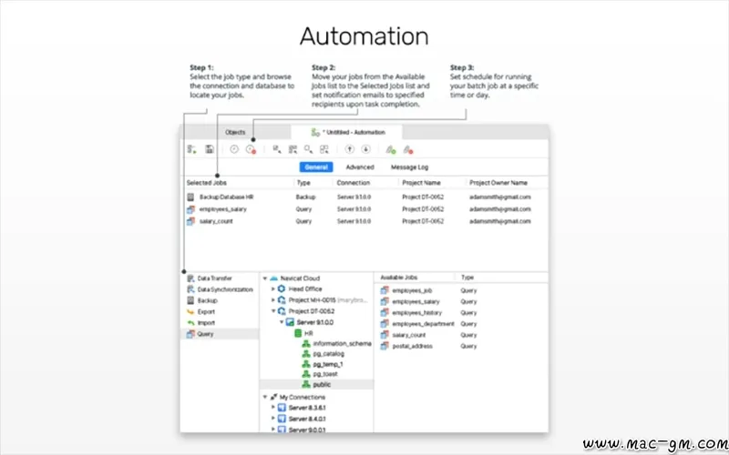Navicat for PostgreSQL PostgreSQL v17.0.15 数据库管理工具 Mac版 For Mac 数据库工具 中文版