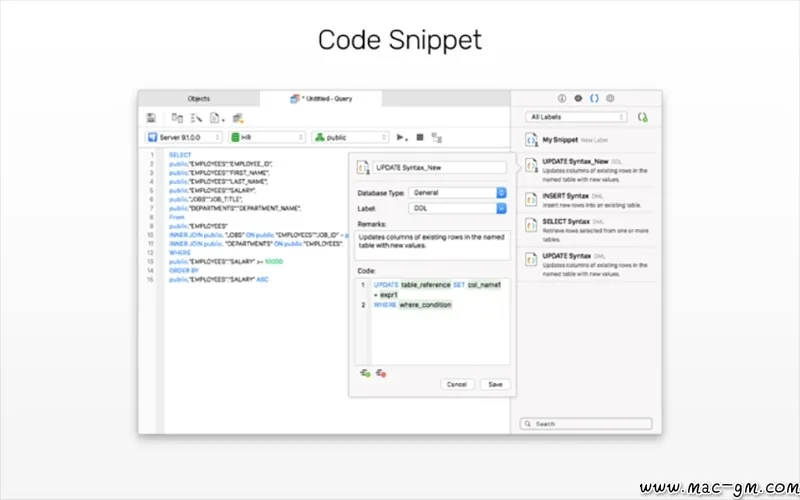 Navicat for PostgreSQL PostgreSQL v17.0.15 数据库管理工具 Mac版 For Mac 数据库工具 中文版