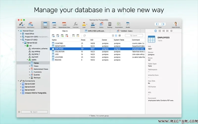 Navicat for PostgreSQL PostgreSQL v17.0.15 数据库管理工具 Mac版 For Mac 数据库工具 中文版