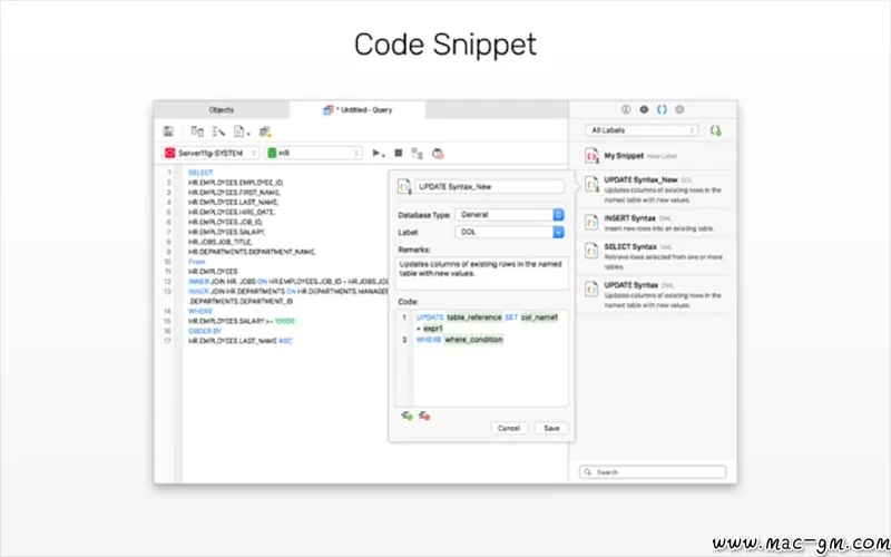 Navicat for Oracle Oracle v17.1.9 数据库管理和开发工具 Mac版 For Mac 数据库工具 备份同步 中文版