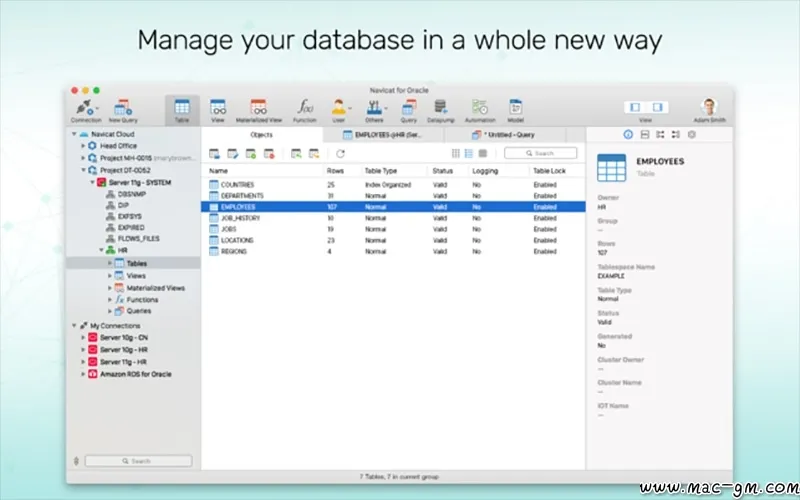 Navicat for Oracle Oracle v17.1.9 数据库管理和开发工具 Mac版 For Mac 数据库工具 备份同步 中文版