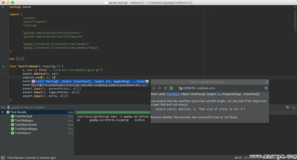 JetBrains GoLand Go v2026.2.3 语言开发工具 Mac版 For Mac 智能自动化 浏览器工具 文本编辑 中文版