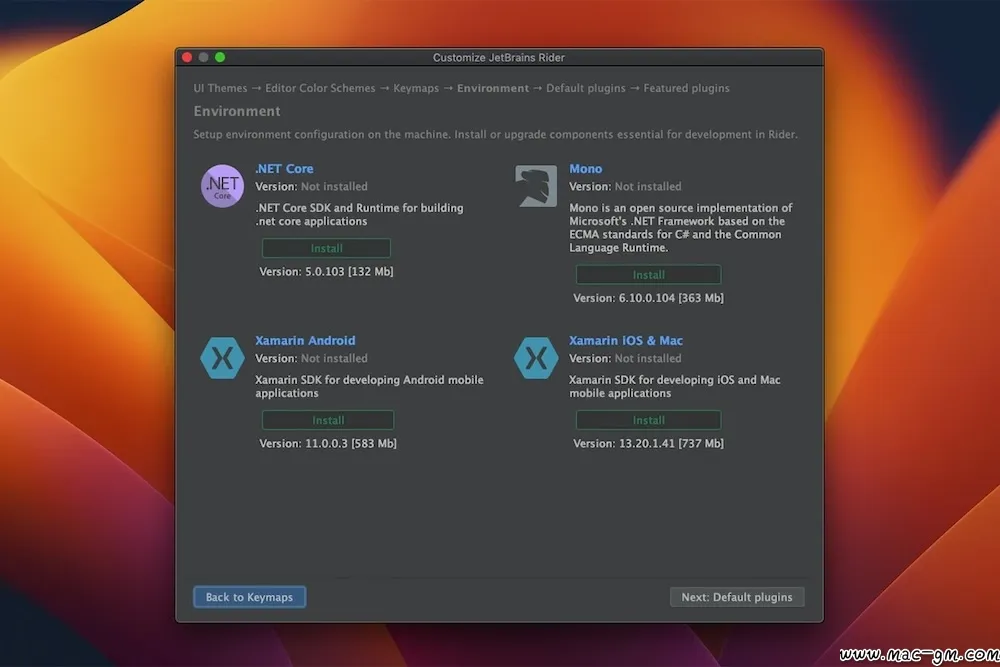 JetBrains Rider v2026.2.3.1 .net开发工具 Rider Mac版 For Mac 智能自动化 中文版