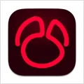 Navicat for Oracle Oracle v17.1.9 数据库管理和开发工具 Mac版 For Mac 数据库工具 备份同步 中文版